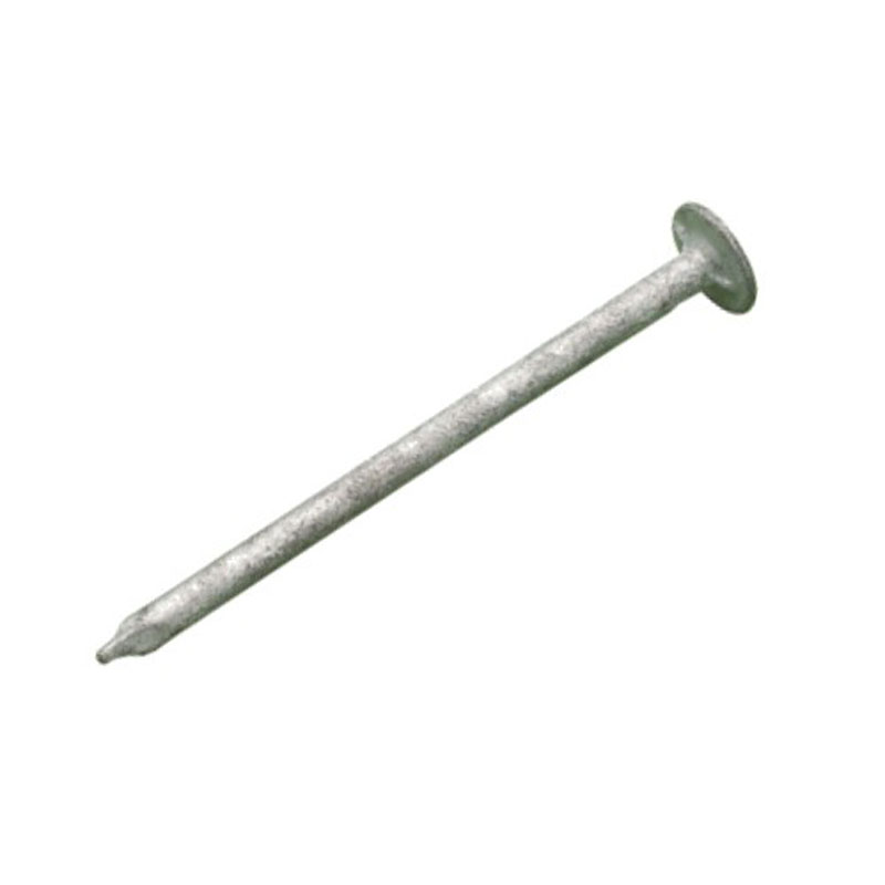 65x2.65mm Galvanised Clout Nail