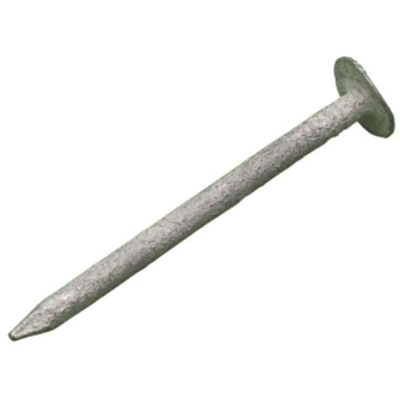 30x3mm Galvanised Clout Nail with Extra Large Head