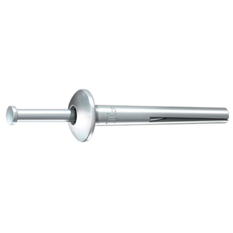 M6x50mm Nail in Anchor
