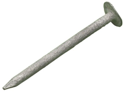 Galvanised Clout Extra Large Head