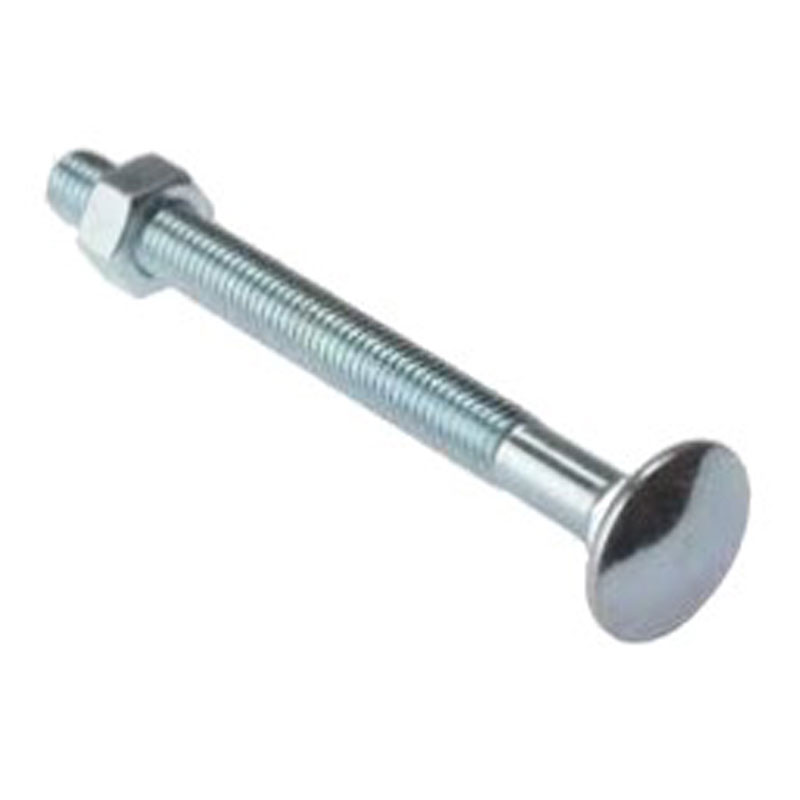 M6x20 Coach Bolts
